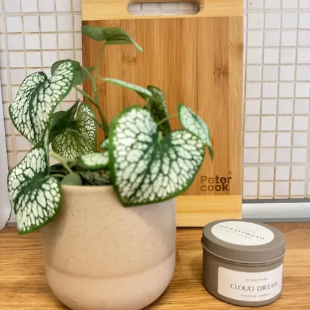 Vatican Exclusive Apartment Rom